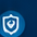 Security Systems